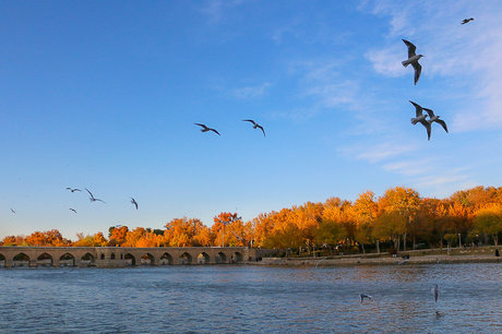 تسریع در اجرای طرح احیای رودخانه زاینده رود